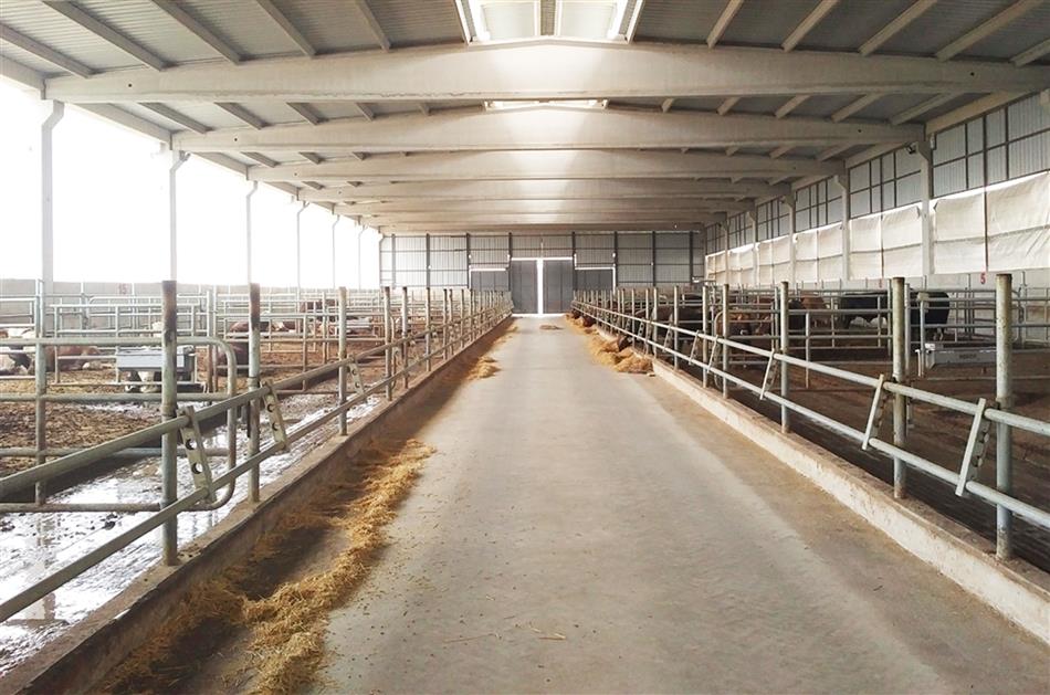 Besi Çiftliği ve Trapez Sac İzolasyonu